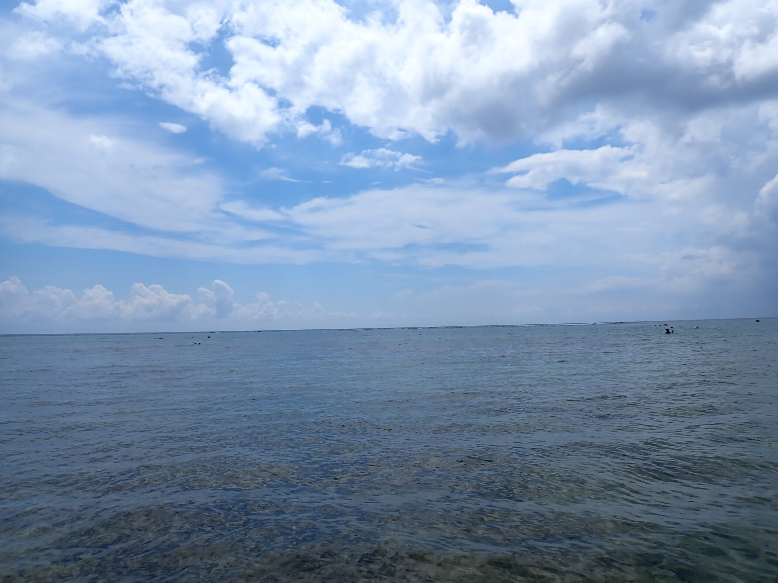自然体験ジョン万パーク 天然水族感