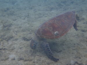 自然体験ジョン万パーク 天然水族感 20代カップル
