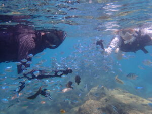 自然体験ジョン万パーク 天然水族感 20代カップル