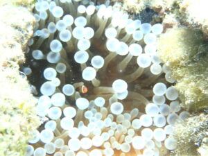 自然体験ジョン万パーク 天然水族感 20代カップル