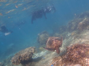 自然体験ジョン万パーク 天然水族感 5歳・5歳・7歳