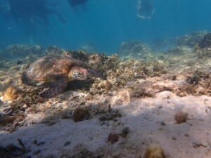 自然体験ジョン万パーク 天然水族感 5歳・5歳・7歳