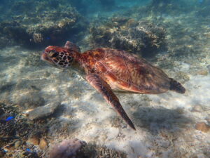 自然体験ジョン万パーク 天然水族感 5歳・5歳・7歳