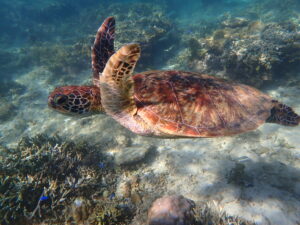 自然体験ジョン万パーク 天然水族感 5歳・5歳・7歳