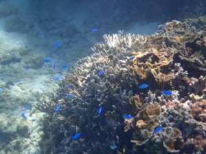 自然体験ジョン万パーク 天然水族感 20代カップル 誕生日旅行