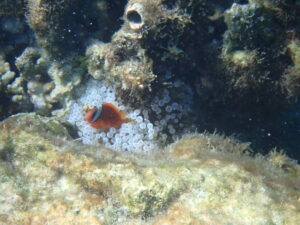 自然体験ジョン万パーク 天然水族感 20代友達