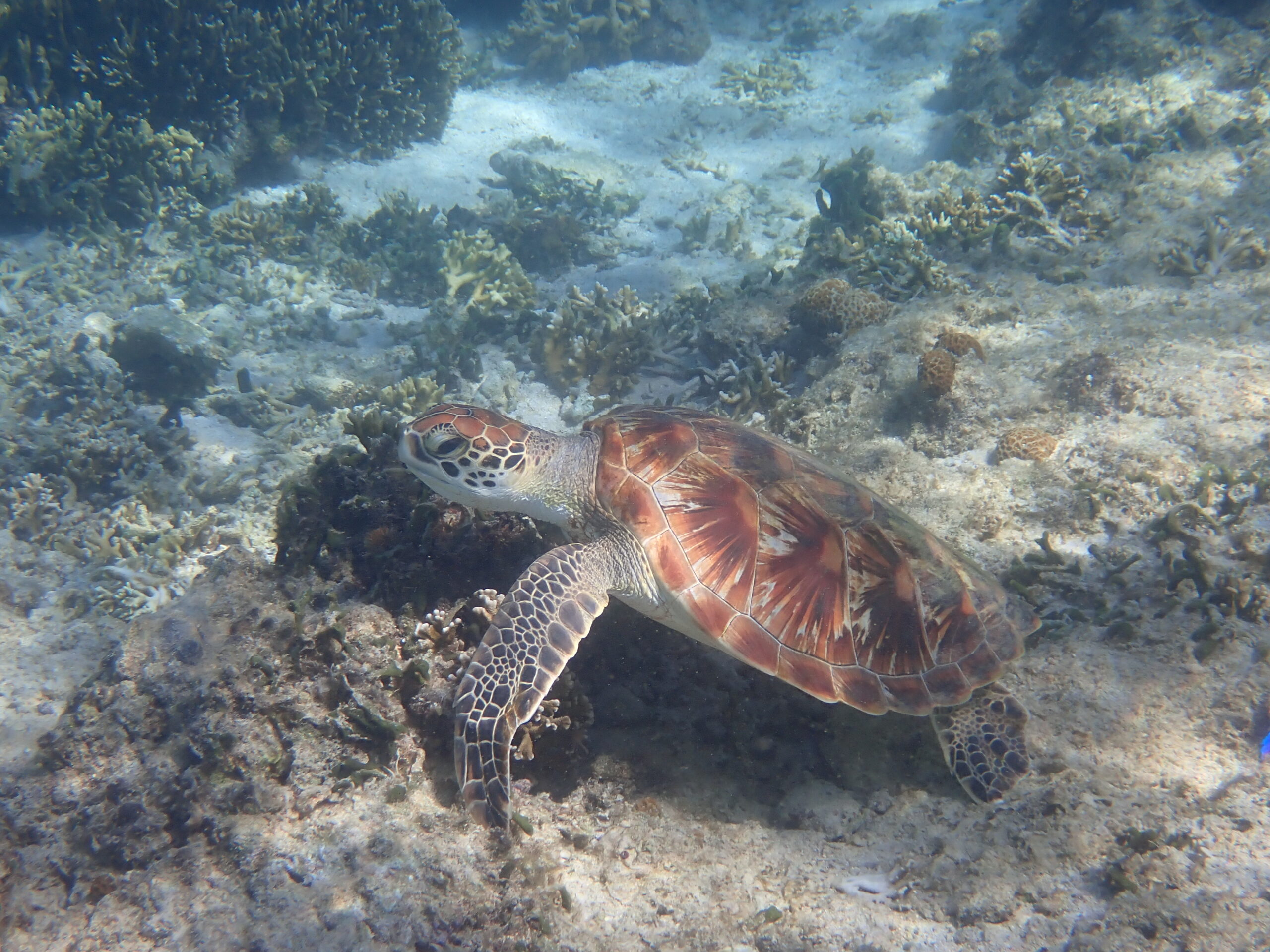 自然体験ジョン万パーク 天然水族感 20代カップル 誕生日旅行