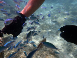 自然体験ジョン万パーク 天然水族感 20代カップル