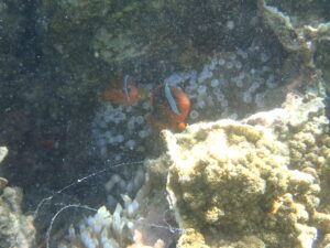 自然体験ジョン万パーク 天然水族感 20代カップル