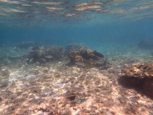 自然体験ジョン万パーク 天然水族感 20代カップル
