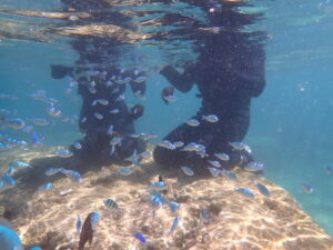 自然体験ジョン万パーク 天然水族感 社員旅行
