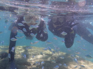 自然体験ジョン万パーク 天然水族感 社員旅行