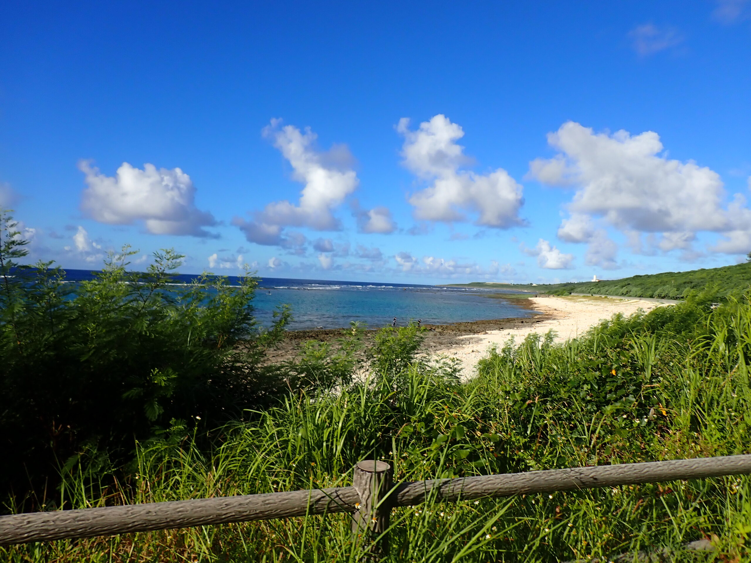自然体験ジョン万パーク 天然水族感 自然体験シュノーケリング