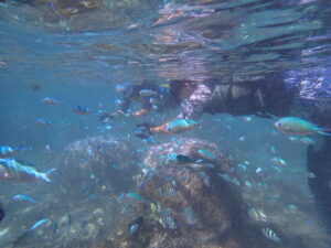 自然体験ジョン万パーク 天然水族感 団体様
