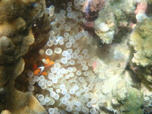 自然体験ジョン万パーク 天然水族感 団体様