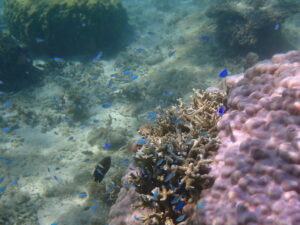 自然体験ジョン万パーク 天然水族感 団体様