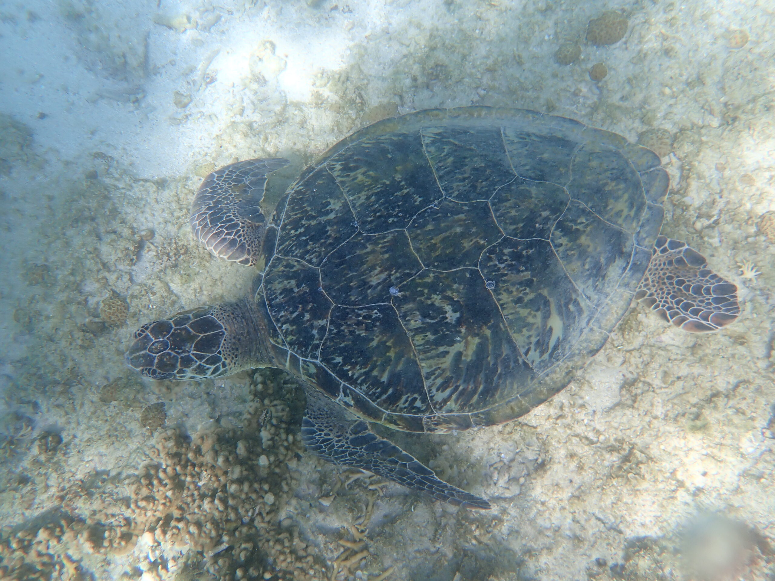 自然体験ジョン万パーク 天然水族感 4歳・10歳