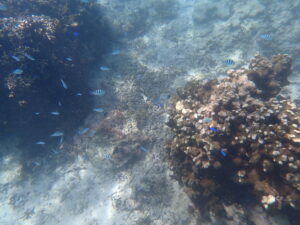 自然体験ジョン万パーク 天然水族感 2歳・8歳・11歳