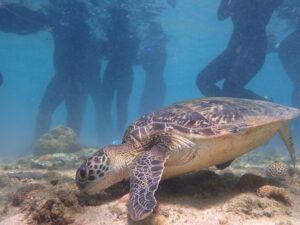 自然体験ジョン万パーク 天然水族感 30代友達