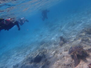 自然体験ジョン万パーク 天然水族感 30代友達