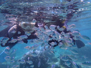自然体験ジョン万パーク 天然水族感 10代 カップル