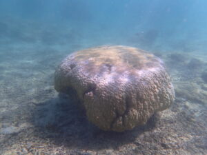 自然体験ジョン万パーク 天然水族感 常連様