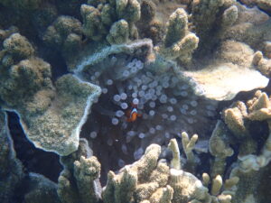 自然体験ジョン万パーク 天然水族感 常連様