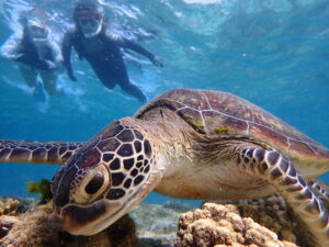 自然体験ジョン万パーク 天然水族感 20代女性