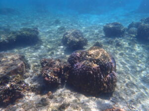 自然体験ジョン万パーク 天然水族感 3世代