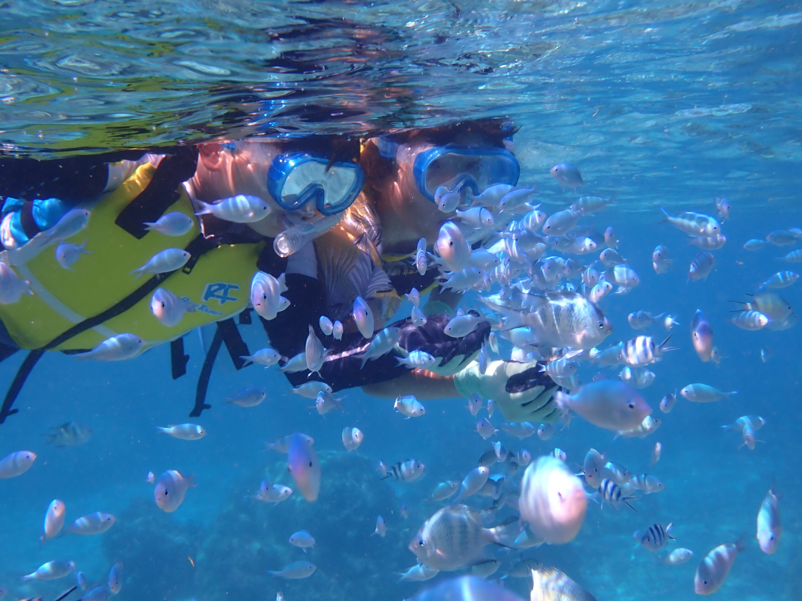自然体験ジョン万パーク 天然水族感 3世代