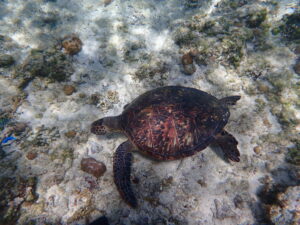 自然体験ジョン万パーク 天然水族感 家族旅行