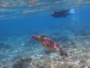 自然体験ジョン万パーク 天然水族感 家族旅行