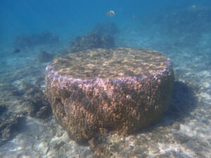 自然体験ジョン万パーク 天然水族感 70代 友達旅行