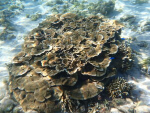自然体験ジョン万パーク 天然水族感 70代 友達旅行