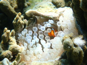 自然体験ジョン万パーク 天然水族感 70代 友達旅行