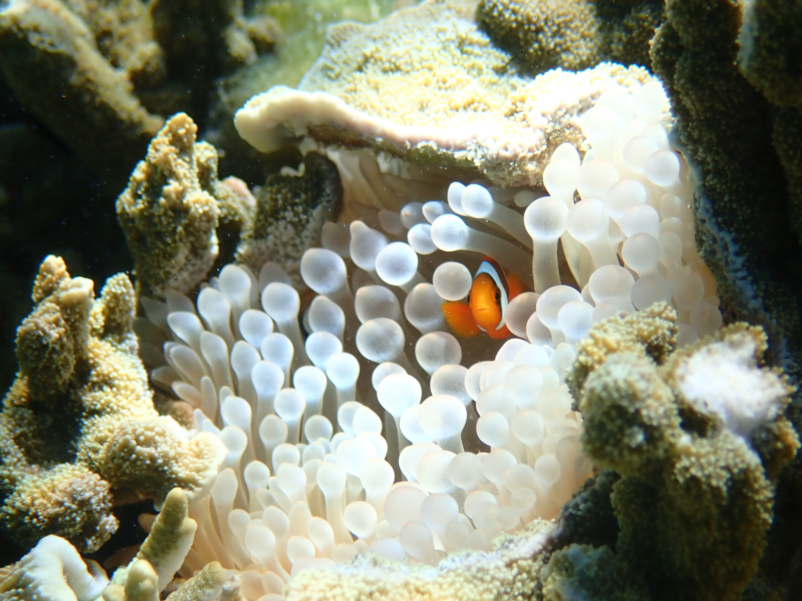 自然体験ジョン万パーク 天然水族感 70代 友達旅行