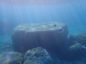 自然体験ジョン万パーク 天然水族感 外国人