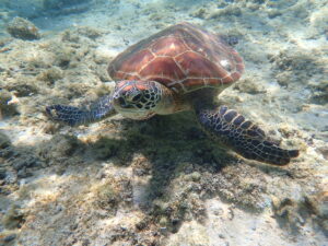 自然体験ジョン万パーク 天然水族感 友達　海遊び