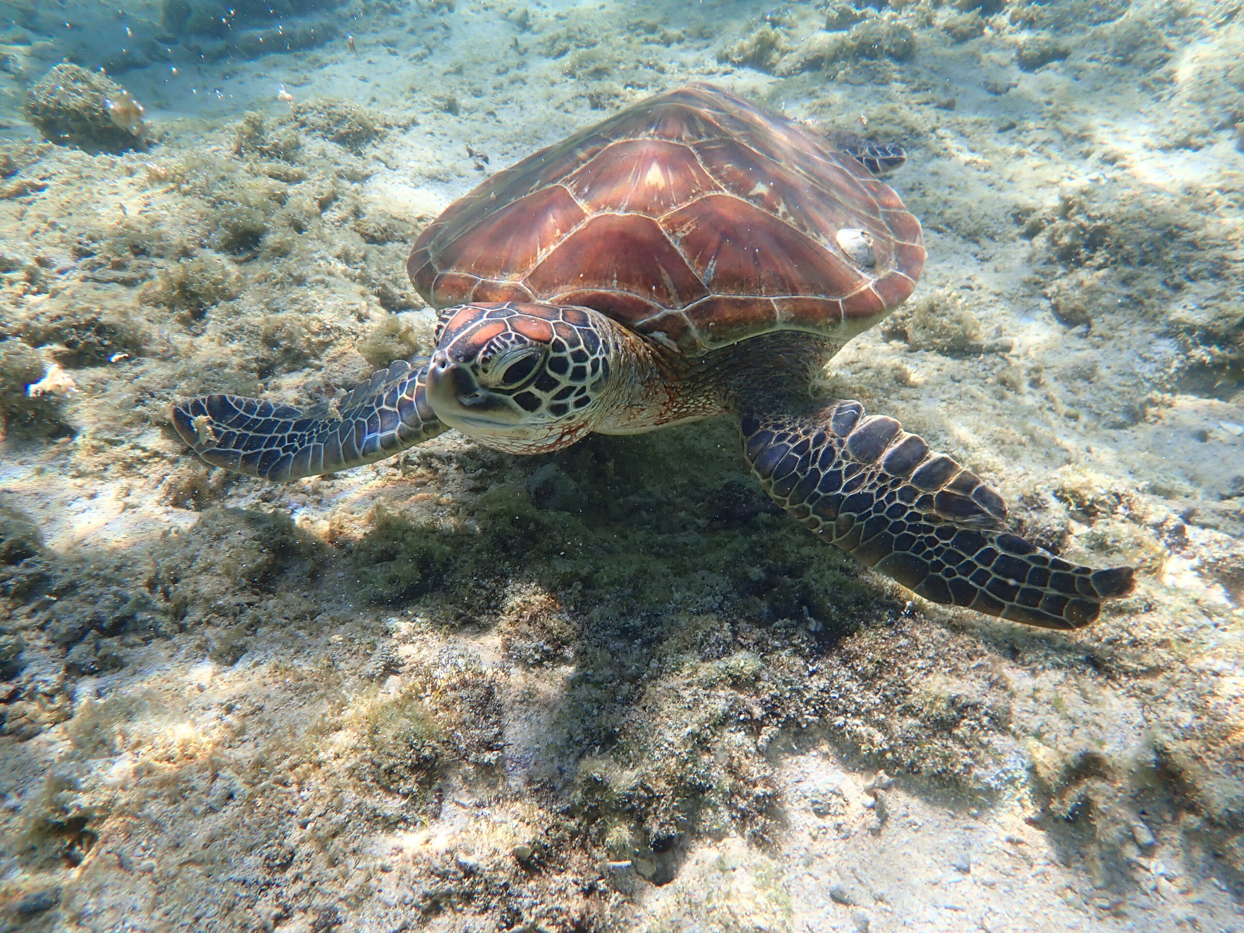 自然体験ジョン万パーク 天然水族感 友達　海遊び