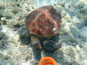 自然体験ジョン万パーク 天然水族感 友達　海遊び