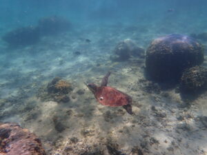 自然体験ジョン万パーク 天然水族感 友達　海遊び