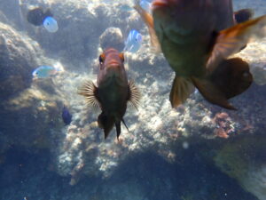自然体験ジョン万パーク 天然水族感 友達
