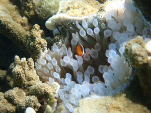 自然体験ジョン万パーク 天然水族感 友達