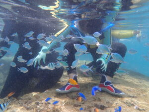 自然体験ジョン万パーク 天然水族感 2歳・7歳、4名家族
