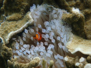 自然体験ジョン万パーク 天然水族感 2歳・7歳、4名家族
