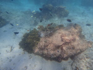 自然体験ジョン万パーク 天然水族感 20代女性