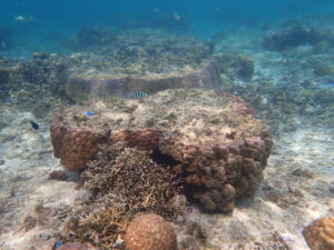 自然体験ジョン万パーク 天然水族感 自然体験シュノーケリング 20代カップル 初めての沖縄旅行