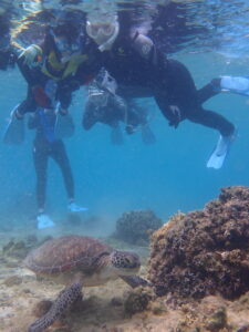 自然体験ジョン万パーク 天然水族感 自然体験シュノーケリング 30代 1人沖縄旅行