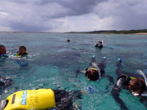 自然体験ジョン万パーク 天然水族感 自然体験シュノーケリング 30代 1人沖縄旅行