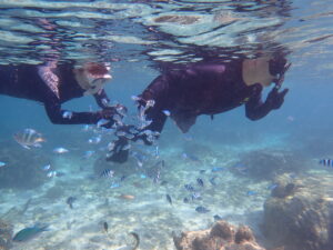 自然体験ジョン万パーク 天然水族感 自然体験シュノーケリング 結婚記念日